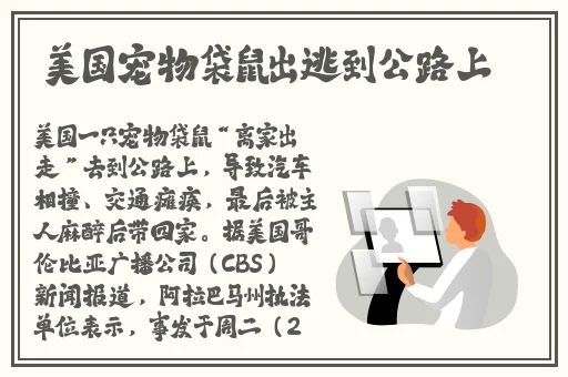 麻花豆传媒剧国产MV