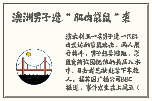 麻花天美星空果冻是同一家公司吗